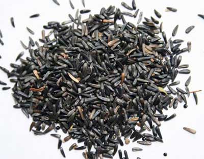 Niger Seeds